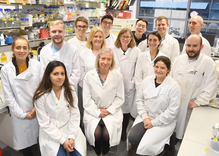 The JBU scientists The JBU scientists